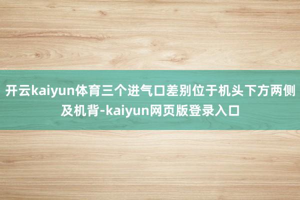 开云kaiyun体育三个进气口差别位于机头下方两侧及机背-kaiyun网页版登录入口