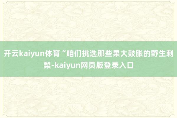 开云kaiyun体育  “咱们挑选那些果大鼓胀的野生刺梨-kaiyun网页版登录入口